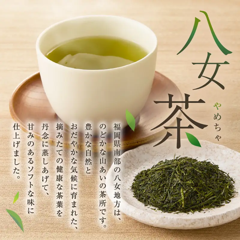 ＼ポスト投函／八女茶 深蒸し茶煎茶 100g【Z3-047】