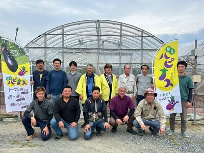 ハピナス 玉名市産 長なす 約 1.4㎏（300ｇ～400ｇ×4袋）｜ 野菜 やさい 茄子 なすび とげ無 種少 薄皮 季節野菜 袋詰め 小分け 熊本県 玉名市
