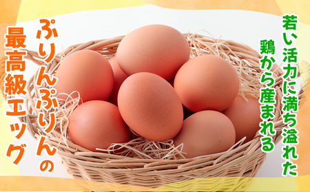 ぷりんセス・エッグ 30個『北川鶏園 房総のあおぞら農場』｜鶏卵 [0250]