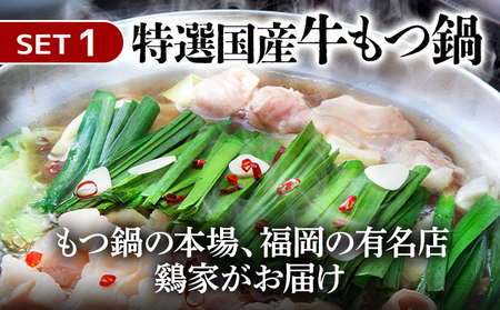 もつ鍋 水炊きセット 各2人前 鶏家 もつ モモ肉 ムネ肉 鍋 麺付き ちゃんぽん麺 福岡県 福岡 九州 グルメ お取り寄せ