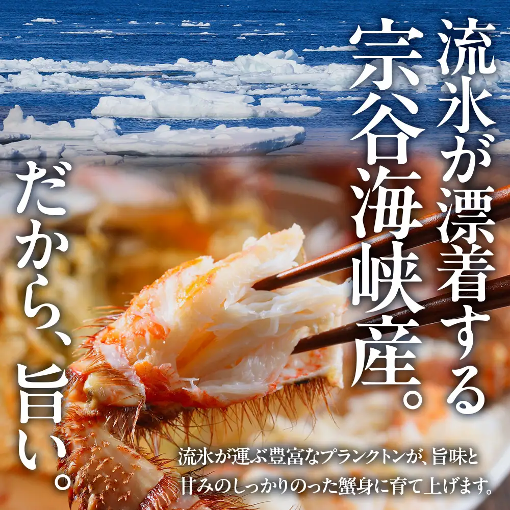 2026年新物 ＜ボイル済み急速冷凍＞身がパンパンに詰まった稚内産毛ガニ900ｇ～1kg(超大サイズ)×2尾