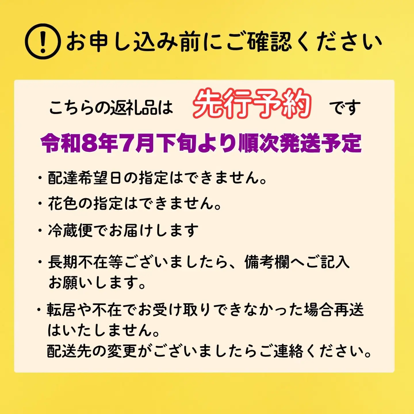 【期間限定】奥信濃飯山 ～木内ファームの切花小菊24本セット～【2026年7月下旬より出荷】（Ca-003）