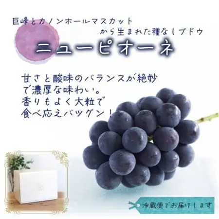 岡山　花笑み農園の『ニューピオーネ』1kg (2房)　P-1【配送不可地域：離島・北海道・沖縄県】【1628315】