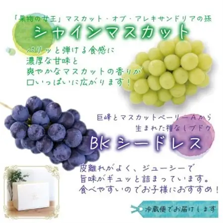 岡山　花笑み農園『シャインマスカット＆BKシードレス』1kg(2房)BS-1【配送不可地域：離島・北海道・沖縄県】【1628317】