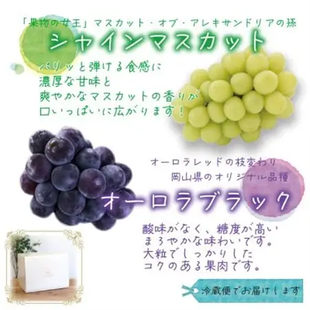 岡山　花笑み農園の『オーロラブラック＆シャインマスカット』1kg(2房)AS【配送不可地域：離島・北海道・沖縄県】【1629359】