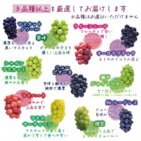 岡山　花笑み農園『ブドウの宝石箱』3種以上(36粒入り)　3M-宝36【配送不可地域：離島・北海道・沖縄県】【1629381】