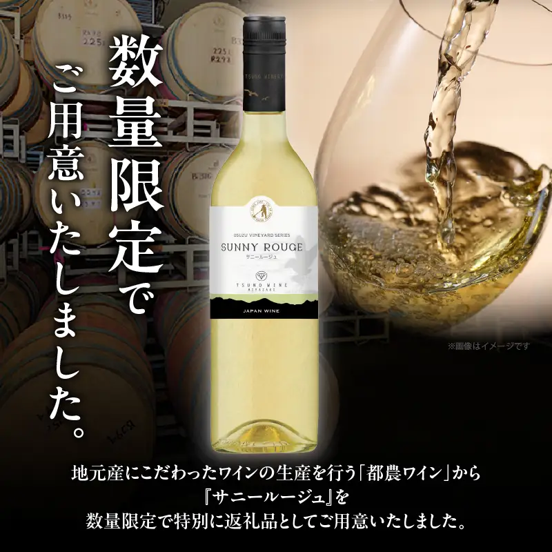 【数量限定】サニールージュ(計1本) 酒 飲料 アルコール 国産_T014-0255