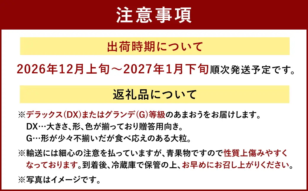 福岡産【冬】 あまおう 2パック いちご 苺 果物 フルーツ 福岡 太宰府【2026年12月上旬～2027年1月下旬発送予定】