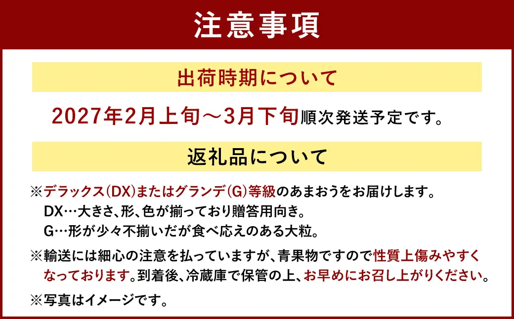  福岡産【春】フルーツ専門店が選んだ あまおう 6パック いちご 苺 果物 フルーツ 福岡 太宰府【2027年2月上旬～3月下旬発送予定】