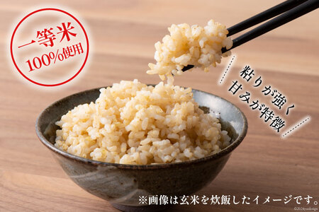 米 令和7年 ばんどり米 コシヒカリ 玄米 10kg ×1袋 一等米 [農事組合法人東和 富山県 舟橋村 57050231] お米 美味しい こしひかり 富山 農家