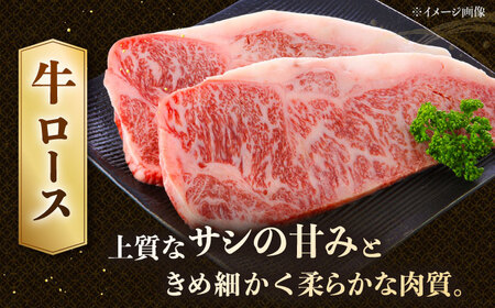 博多和牛 ロースステーキ 400g（200g×2枚） [ADCB010] 博多和牛 ロース ステーキ用 国産