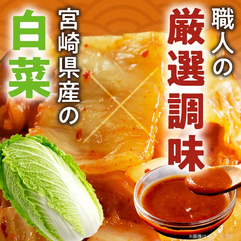 白菜キムチ 計1袋 (1kg) 漬物 おかず 野菜 加工品 国産_T025-0405