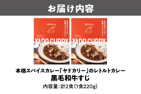 【 近鉄百貨店 】本格スパイスカレー「ヤドカリー」レトルトカレー　黒毛和牛すじ　2食セット_OS002-0045