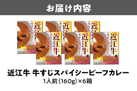 【 京阪百貨店厳選 】近江牛すじスパイスカレー160ｇ×6食セット 和牛カレー_OS048-0063