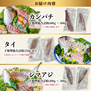 お刺身3種詰合せセット カンパチ タイ シマアジ 小分け 養殖 冷凍 勘八 鯛 縞鯵 冷凍