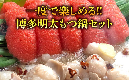 博多 明太醤油もつ鍋 セット 2-3人前[BGAF010] めんたいチューブ