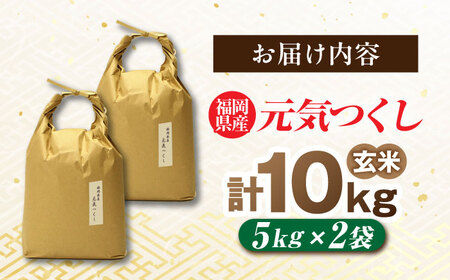 福岡県産 元気つくし 玄米 10kg (5kg×2袋)[BGAF020]元気つくし