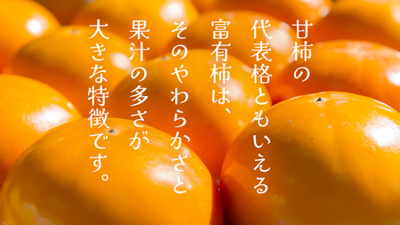 富有柿 12～16玉（茨城県共通返礼品：かすみがうら市）  [FF003sa]