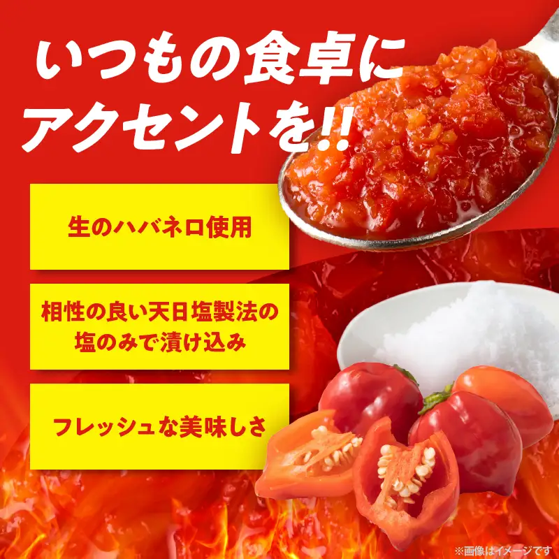 FRESH HABANERO(ハバネロ)計3瓶 漬物 おかず 野菜 加工品 国産_T025-0485