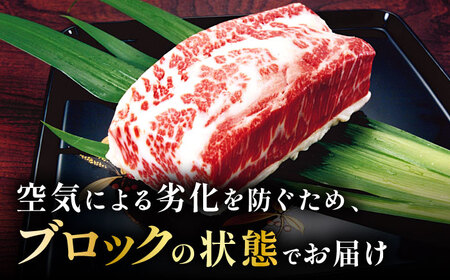 こだわりの馬刺し 霜降りブロック 約300g(約150g×2ブロック) 馬刺し醤油付き 【フードサービス むらかみ】[ZFE002]