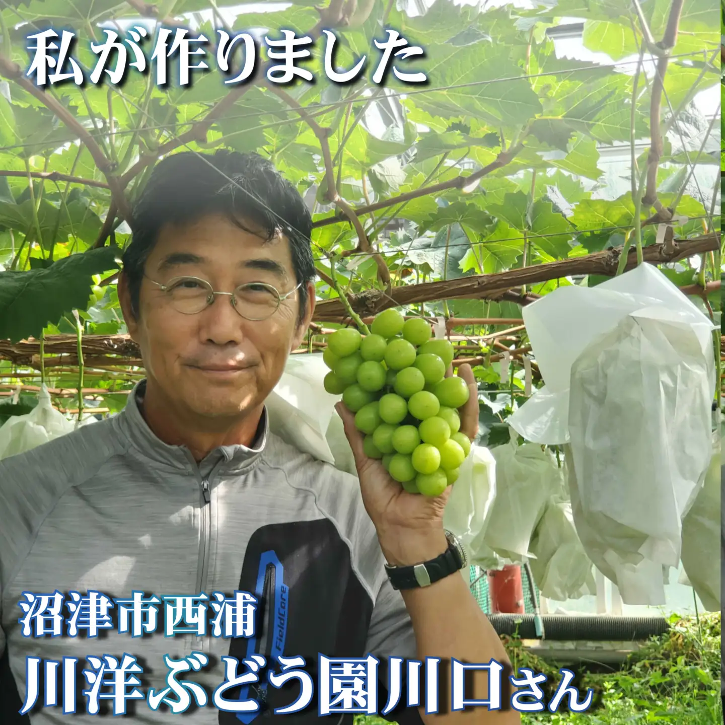 【先行予約】由良みかん 約5kg 沼津市 西浦 みかん