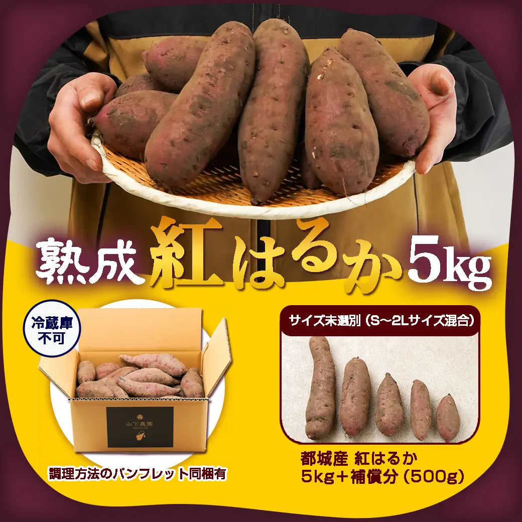 先行受付!【12月お届け】【農家直送】山下農園　熟成紅はるか 5kg_LD-I704-12_(都城市) 都城産 紅はるか S～2Lサイズ混合 山下農園 さつまいも兄弟 長期熟成 甘い