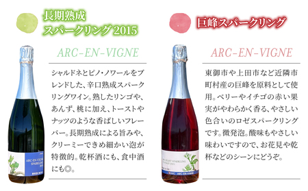 ワイン　長期熟成スパークリング ＆ 巨峰 スパークリングワイン ２本セット | 【アルカンヴィーニュ】辛口 長野 日本ワイン 東御 長野ワイン 東御ワイン 