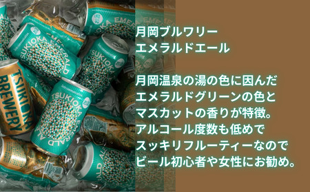  地ビール ＼クラフトビール 飲み比べ 6缶セット／  地ビール shinbo017
