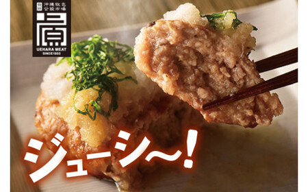 あぐーハンバーグセット(6個入) 