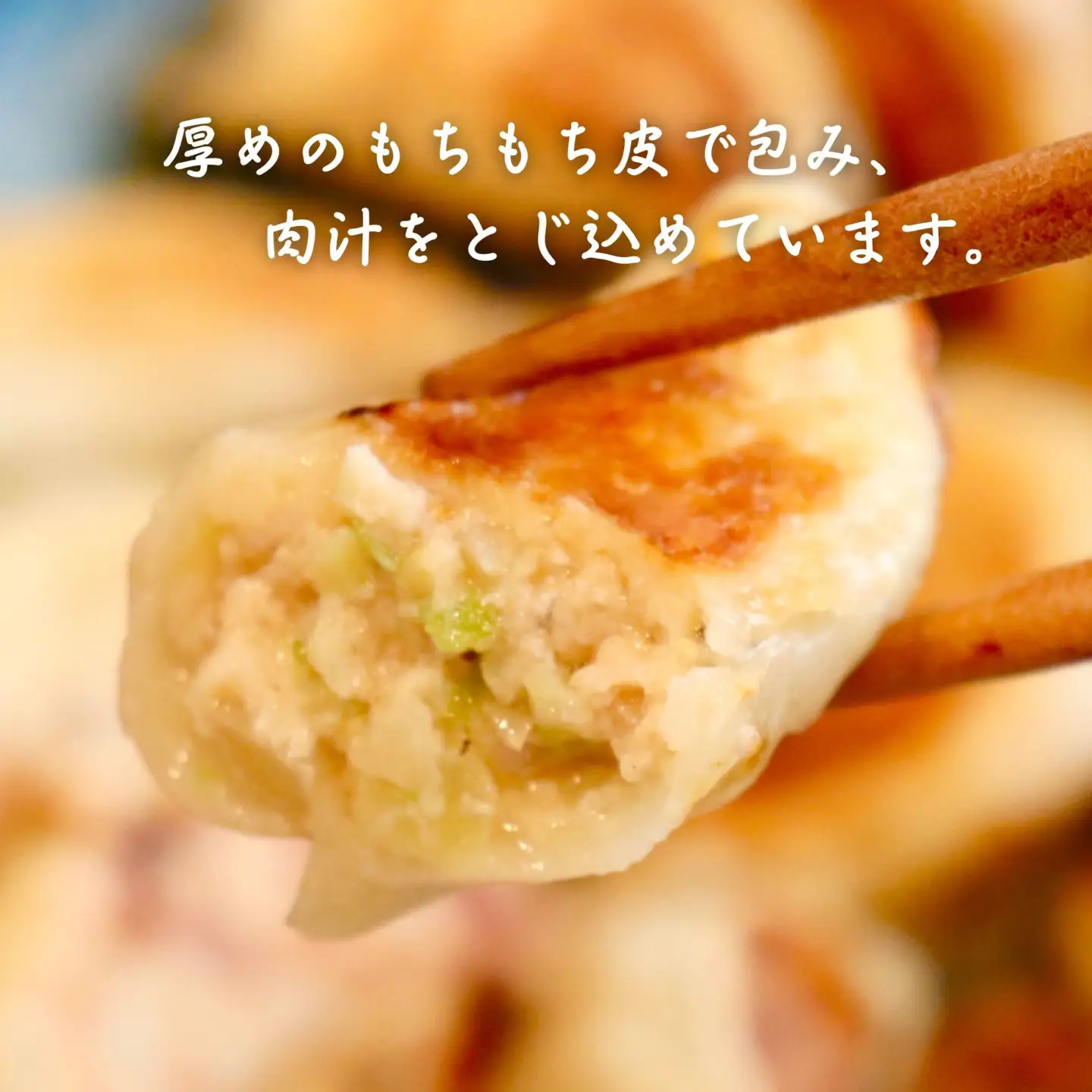 餃子 手包み大葉餃子 25個入り 餃子屋はまだ