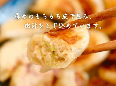 餃子 手包み餃子 Sパック 3種セット 合計36個 餃子屋はまだ