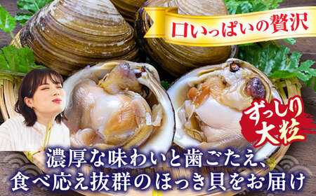 【2026年7月中旬以降順次発送再開】活ほっき貝 2kg 約6～12個 ホッキ [AXAL005]