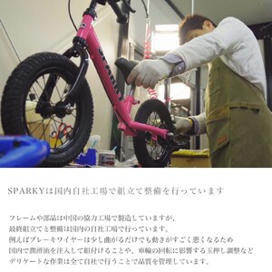 キックバイク SPARKY Mint 1台 子供用自転車 ストライダー 【自転車】