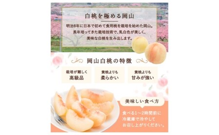 桃 2026年 先行予約 白桃 3玉(約750g)等級：ロイヤル 化粧箱