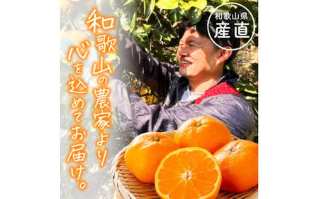 和歌山 旬のカンキツ定期便M (ご家庭用) ※北海道・沖縄・離島への配送不可 / 定期便 青切り有田みかん 完熟有田みかん 春の柑橘 初夏の柑橘 全4回 フルーツ 【ard050-kan-mB】