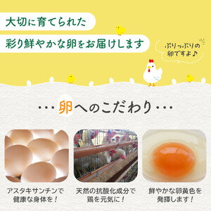おおえだファーム アスタキサンチン たまご（白）Lサイズ 30個入り｜たまご