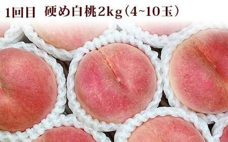 【2026年先行予約】秋冬味覚の三宝 白桃 シャインマスカット りんご FSY-2547