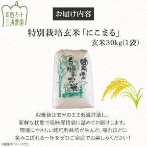【予約受付】 四万十清流育ち！三浦さんの玄米 30kg（15kg×2） 菌の力で美味しさUP 特別栽培米 ／Fms-A19 玄米 にこまる 特別栽培米 米 お米
