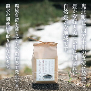 【先行予約】【R8年産】【自然環境米】鬼北のせせらぎ（コシヒカリ）5kg×2 ｜ お米 お米不足 お米品薄 おいしい お米 事業者支援 送料無料 白米 精米 国産 限定 ごはん ご飯 白飯 ゴハン 愛媛県産 鬼北町 ※2026年9月～発送