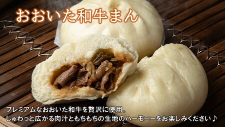 職人手作りの「おおいた和牛まん&特製豚まん&ミニ豚まん 贅沢食べ比べセット」_2564R