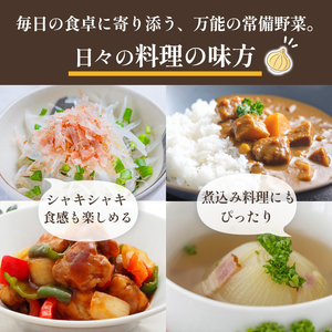 【訳あり】 もみじ玉ねぎ 約5kg 【7月上旬頃～11月下旬頃発送予定】 | 玉ねぎ 松山市 【VEG055】