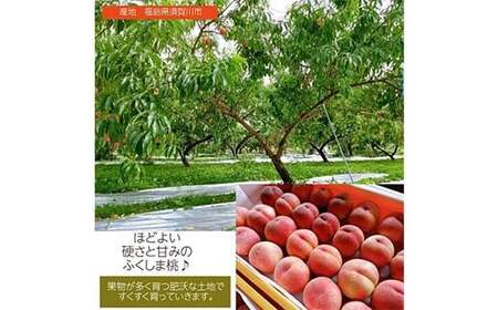 桃 品種おまかせ 2kg 6～9個 もも 贈答 プレゼント ＜佐藤果樹園＞ モモ 桃 デザート フルーツ 果物 F7X-0280