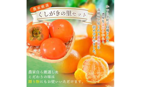 【先行予約】 道の駅くしがきの里セット 富有柿3個・温州みかん約30個の詰め合わせ こだわり農家厳選  【2026年11月上旬～12月中旬頃順次発送】/ みかん 温州みかん 柿 富有柿 かき 詰め合わせ 果物詰め合わせ 果物 フルーツ おやつ【kgr022】