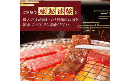 至高の焼肉　極　5種盛りセット　合計500g AOD0001