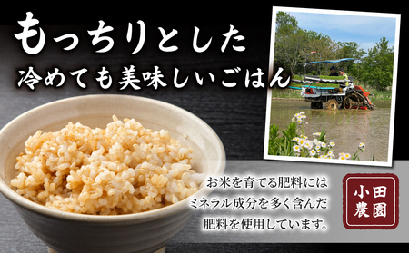 玄米5kg【冷めても美味しいコシヒカリ】｜最短4～7日程度でお届け　※着日指定不可【小田農園】