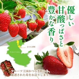 まりひめイチゴ4パック 食べやすいひと口サイズ M～L（15粒～20粒入×4パック）【2027年1月中旬～3月下旬頃に順次発送】【先行販売】いちご イチゴ 苺 まりひめ 果物 フルーツ 甘い 人気 おすすめ【BK-kgr034】