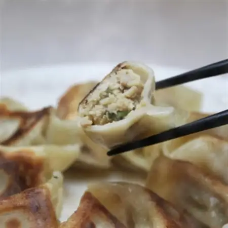 自家製餃子 32g×20個 2パック【配送不可地域：離島】【1626330】