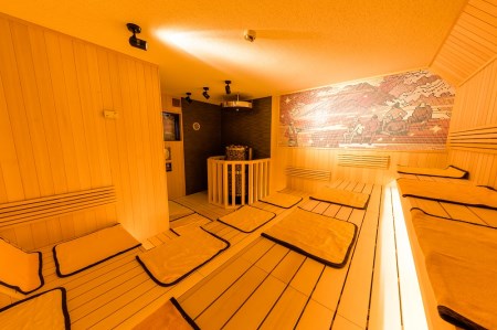 ふじやま温泉 ペア ご招待券 お風呂 サウナ 日帰り 入浴 2枚組 チケット 優待 ギフト券 富士山 旅行 富士急ハイランド 天然温泉 