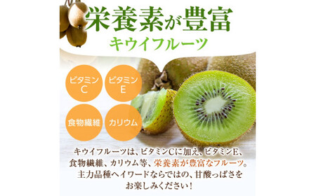 【先行予約】 先行予約！和歌山県産 秀品 キウイフルーツ 大玉15個入 こだわり農家厳選  【2026年12月中旬～2027年1月中旬頃順次発送】/ キウイ キウイフルーツ 果物 フルーツ おやつ【kgr021】