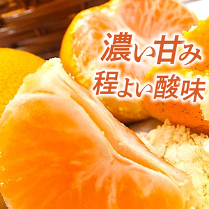 【2026年11月下旬頃から順次発送】興居島みかん 約3kg（L～Sサイズ） みかん 柑橘 興居島 ごごしま ブランド 愛媛県 松山市【SSK018】